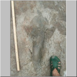 102_6461 (2013-08-09)mod.JPG